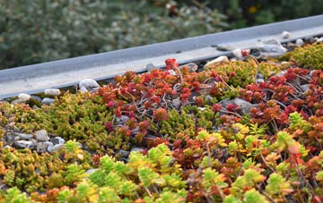 the cost of Vatsetter green roof installation